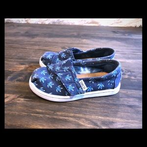 Infant Toms shoes